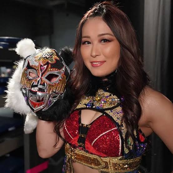 Queens of the Ring: The Top 10 Female Wrestlers Who Rule the Mat!