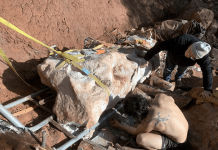 Man finds nearly intact dinosaur skeleton of 70-million-year-old, KEEPS it secret for 2 years