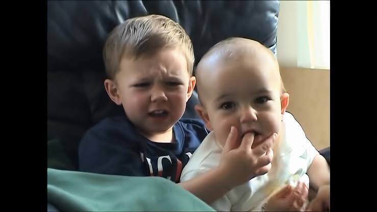 Bamboozled by the Web: 10 Viral Videos That Totally Fooled You