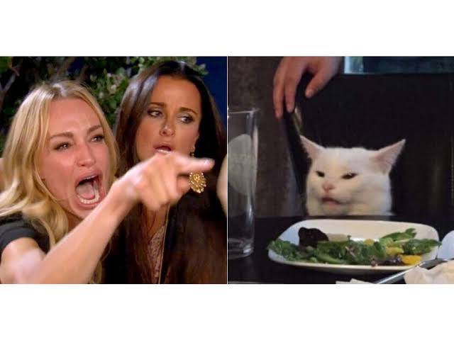 Bamboozled by the Web: 10 Viral Videos That Totally Fooled You