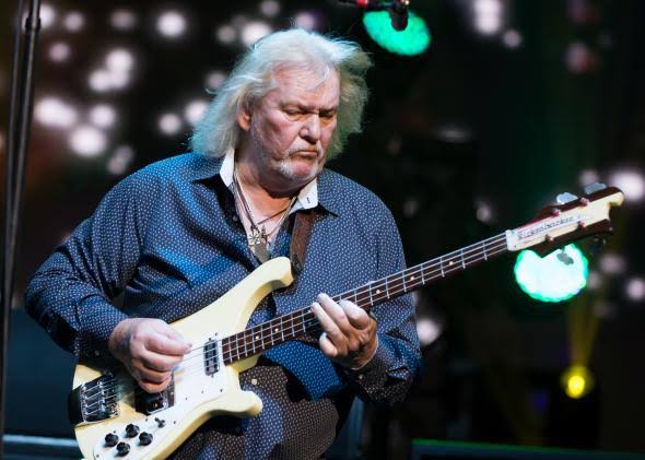 Low End Legends: Top 15 Bassists Who Shook the Foundation of Rock