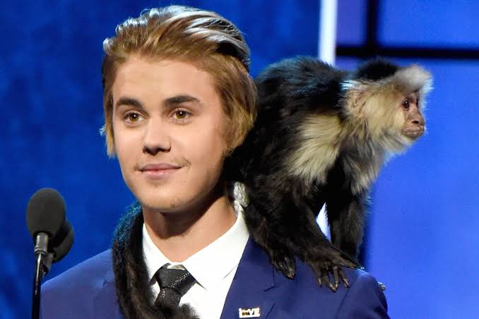 The Evolution of Justin Bieber: Love Him or Hate Him