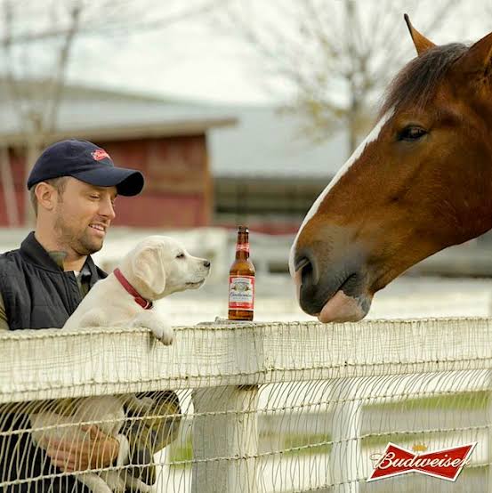 The Big Game Ads: Top super Bowl Commercials Of All Time