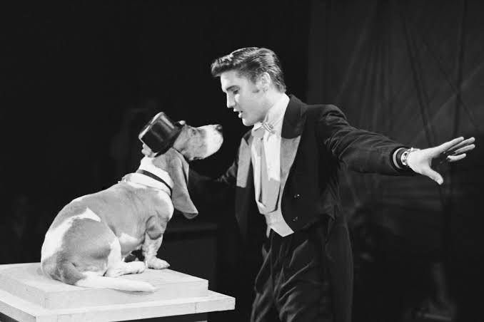 Can't Help Falling in Love with These Tunes: Top 10 Essential Elvis Presley Songs