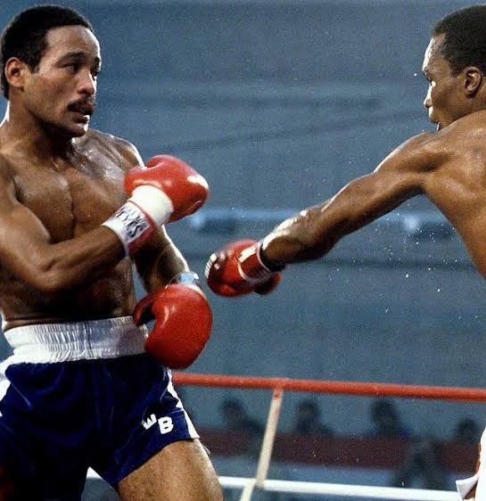 Top 10 fighters of all time