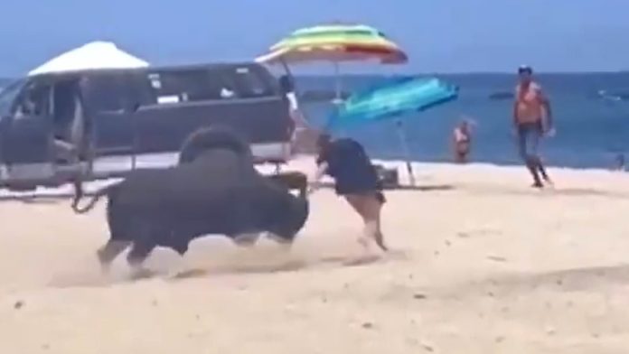 Tourist-is-gored-by-a-bull-AFTER-she-ignores-warnings-from-bystanders-to-stand-clear-of-the-way-44151-
