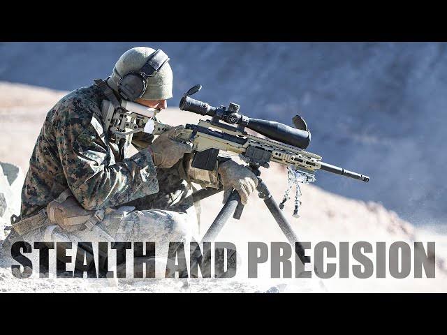 Shadows of Precision: Unraveling Some Amazing Sniper Facts