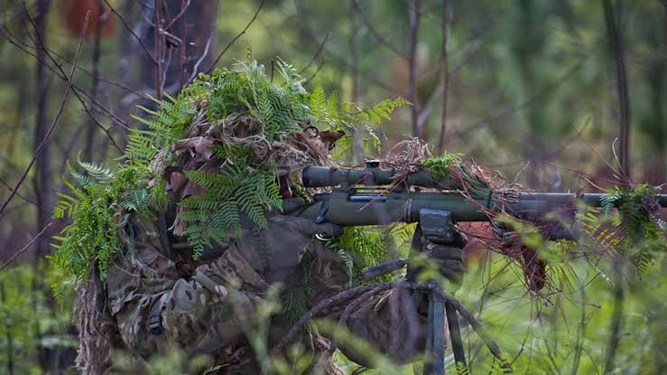 Shadows of Precision: Unraveling Some Amazing Sniper Facts