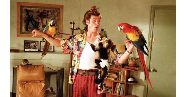 Laughter Overload: Jim Carrey's Funniest Movie Scenes