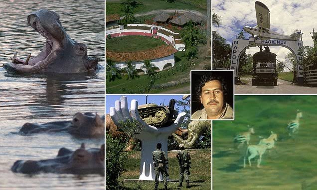 Narcos and Rubber Bands: 13 Mind-Blowing Pablo Escobar Facts