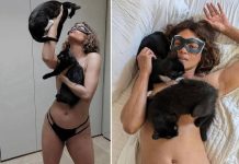 Halle Berry, 57, poses topless with CATS to celebrate 20th anniversary of ‘Cat woman’