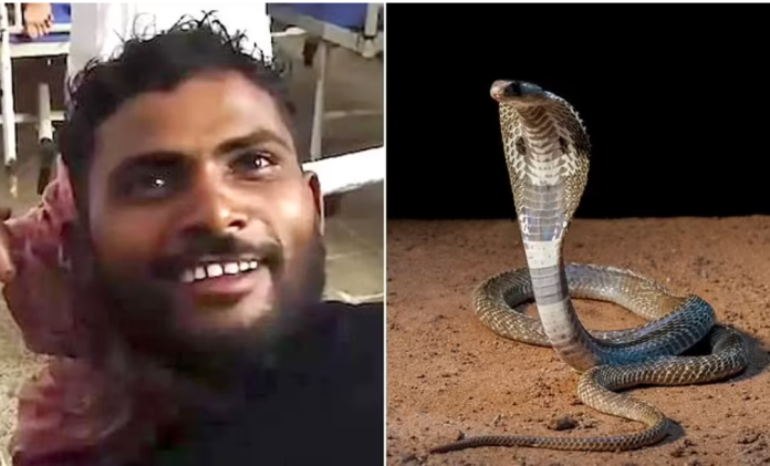 image-202 A Man Bit A Snake To Death After Being Bitten By The Reptile While He Was Asleep