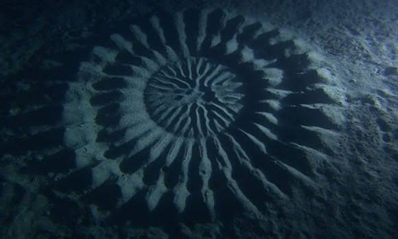 The Top 15 Deep Sea Mysteries That Will Freak You Out