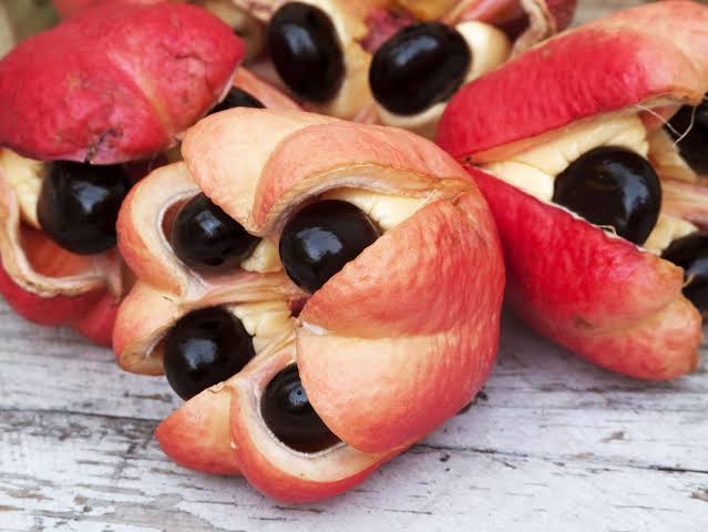 Danger on Your Plate: The 13 Foods That Could Literally Kill You