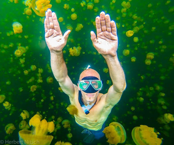 Risky Feats: The Top 15 Most Dangerous World Records