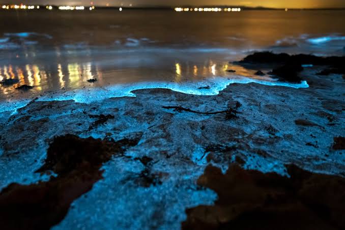 The Top 15 Deep Sea Mysteries That Will Freak You Out
