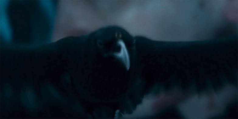 House of the Dragon S2E8: 10 Hidden Details You Probably Missed