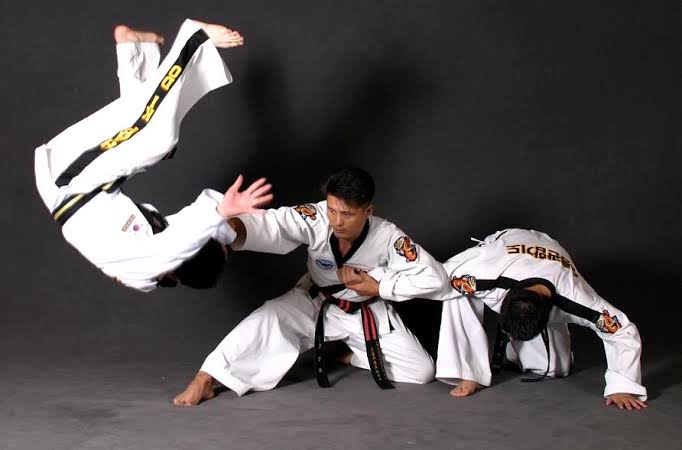Mastering the Art of Defense: 15 Self-Defense Martial Art Styles 