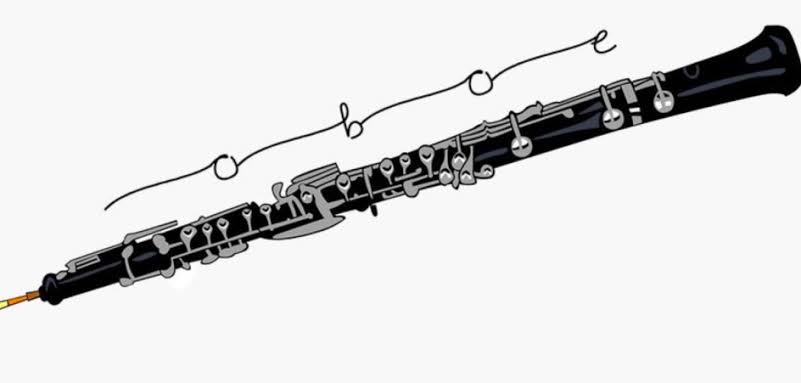 Mastering the Impossible: The 10 hardest instruments to learn