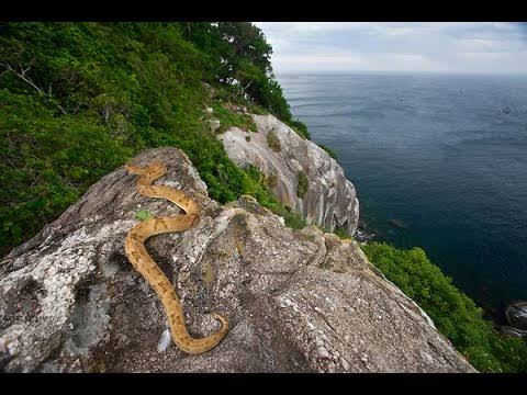 Forbidden: The Top 10 Places You're Never Allowed to Visit  
