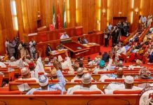 Nigerian Senate Demands Apology From Libyan Government Over Mistreatment Of Super Eagles
