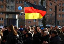 Germany: Tesla Sales Decline Following Elon Musk’s Support For Far-Right Party