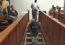 Man stabs ex-girlfriend 22 TIMES in parking lot of a South African mall