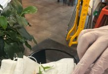 Pregnant Woman Claims She Found Dead Rat In Salad At Sydney Restaurant