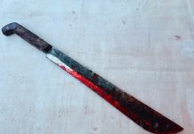 Ondo State: Worker Machetes Employer To Death Over Kola Nuts