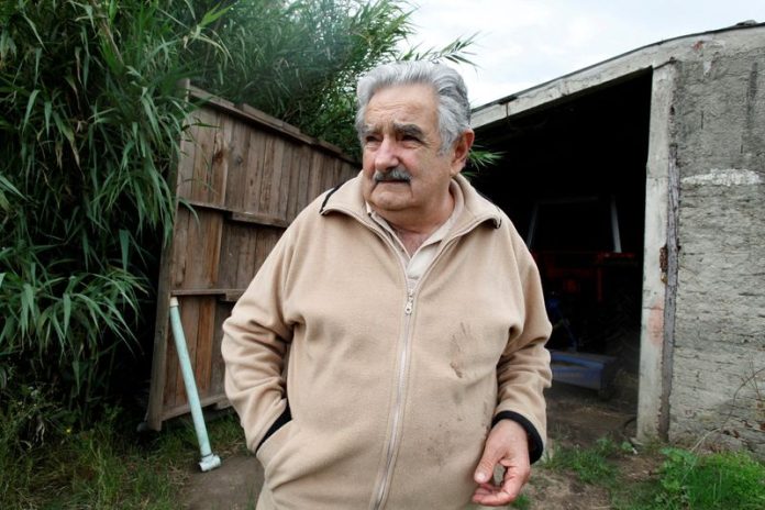 FOTO DE ARCHIVO: El candidato presidencial del partido gobernante Frente Amplio, el ex guerrillero de izquierda José Mujica, conversa en su granja en las afueras de Montevideo