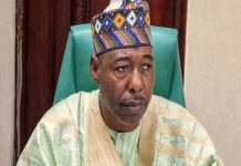Borno State Governor Imposes Sale Of Alcohol Ban