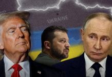 Zelensky wants Trump to ARREST ‘dictator’ Putin after capturing Venezuela’s Maduro