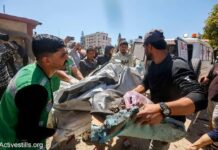 Israel kills NEW chief of Hamas’ armed wing and says ‘he’ll meet his associates in hell’