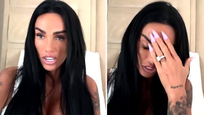 Katie Price bites back at 'disgusting' claims Lee Andrews' 'kidnapping' is FALSE