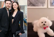Nicola Peltz accidentally reveals RISQUE artwork with Brooklyn Beckham on the wall of their home