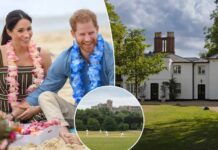 Prince Harry revealed the TWO WORDS Meghan Markle prayed for at Princess Diana’s grave