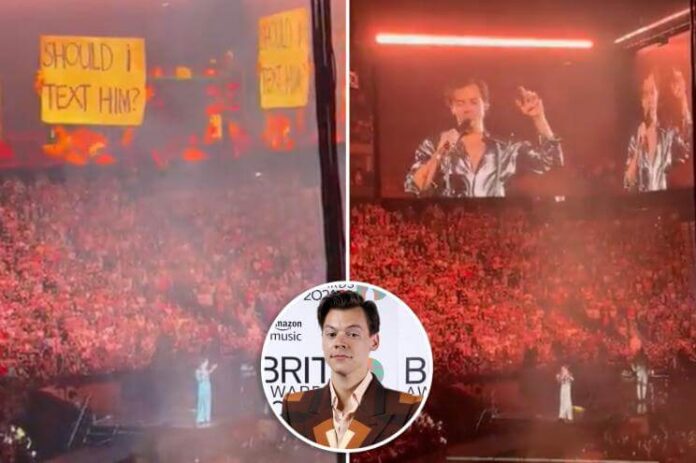 _Harry Styles fan asks for star dating advice on stage and people love his REACTION 626262