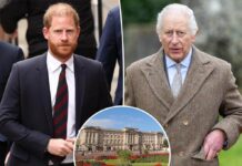 Prince Harry will be offered a room by the King at Buckingham Palace when he returns to the UK