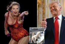 Trump MAKES surprise statement on Taylor Swift and Travis Kelce and their new dog