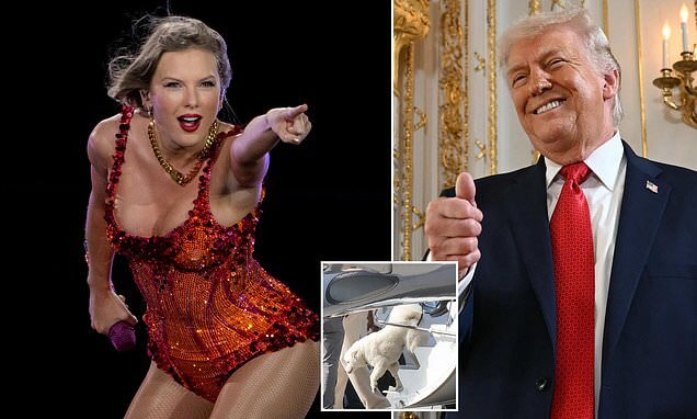 Trump MAKES surprise statement on Taylor Swift and Travis Kelce and their new dog (1)