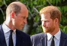 Will Harry and William call a TRUCE and both attend event for 30th anniversary of Diana’s death?