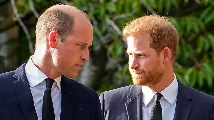 Will Harry and William call a TRUCE and both attend event for 30th anniversary of Diana's death_ 72722