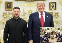 Zelensky makes bold ASK as his ‘killer instinct’ impresses Trump during secret Oval Office meeting