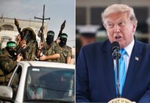 Israel launches airstrikes on Gaza hours AFTER Trump declared ‘historic’ Hamas disarmament deal