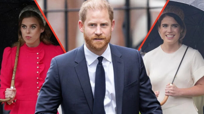 Prince Harry and Princess Eugenie are 'no longer speaking to each other' ahead of UK return (1)