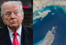 Strait of Hormuz could OPEN ‘in the next day or two’: Trump said as he warns Iran he’s running out of patience