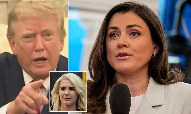 Trump FUMES at reporter who asked about his young blonde aide Natalie Harp who wrote him letters