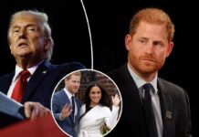 Trump’s allies TROLL Harry and Meghan amid rumour President played a part in their decision to leave US