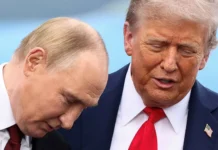 Donald Trump REVEALS ‘Putin is not looking to attack Nato territory’ despite drone strike bid