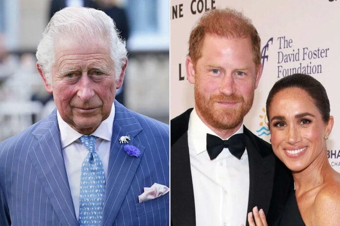 King puts Harry and Meghan in their place with bombshell letter and says they don't represent the Crown (1)